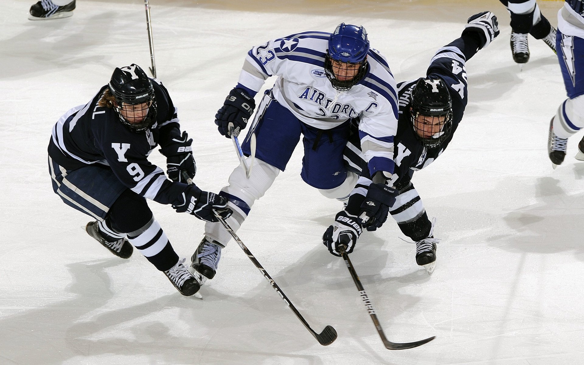 逆转之夜,许昕关键制胜,奥地利队绝境翻盘波兰队